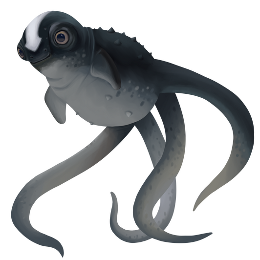unfinished cuddlefish (subnautica)